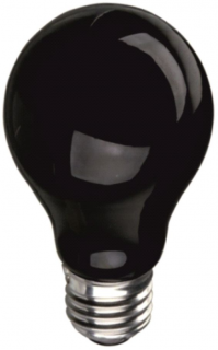 Žárovka noční černé světlo 60W