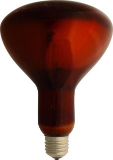 Infra žárovka IR1 175W červená sklo měkké