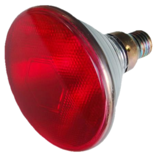 Infražárovka PAR38 100 W červená
